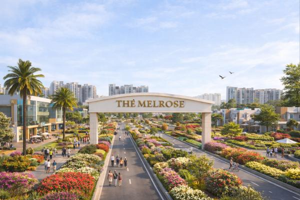 melrose 2