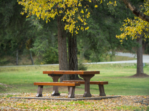 park