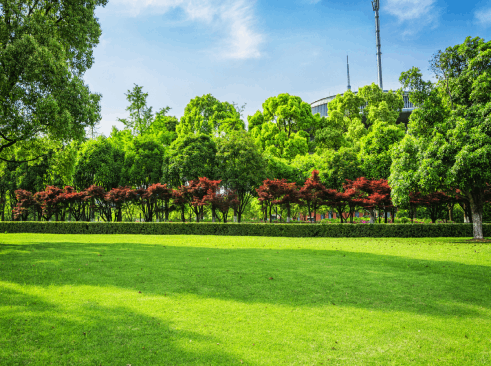 city park