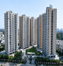 prestige4