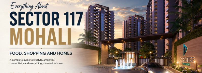 Sector 117 Mohali featuring residential homes, shopping areas, restaurants, parks and nearby landmarks in Mohali.