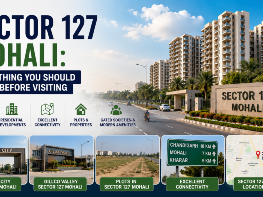 Sector 127 Mohali with residential developments, roads and surrounding locality